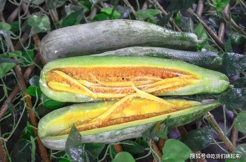 网红吃瓜.com,揭秘娱乐圈幕后故事，带你领略网络红人世界  第2张