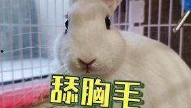 网红吃瓜群众 抖音号是真是假,抖音号真伪大追踪 第1张 网红吃瓜群众 抖音号是真是假,抖音号真伪大追踪 第1张